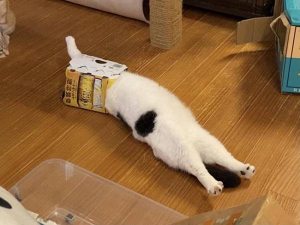 「何やってるの？」　独特なリラックス法に１８万人が吹き出す