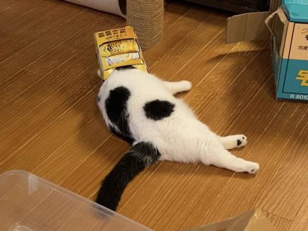 「何やってるの？」　独特なリラックス法に１８万人が吹き出す