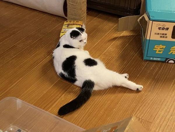 「何やってるの？」　独特なリラックス法に１８万人が吹き出す