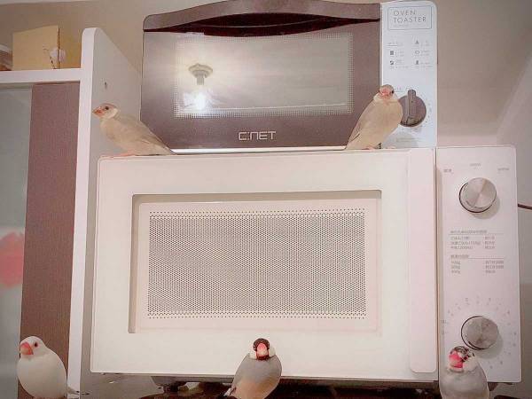 キッチンを撮影した女性、写りこんだあるものに「かっこよすぎる」「CDジャケットの写真みたい！」