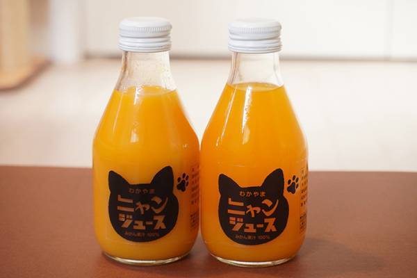 猫を飼っていなくても大丈夫！　猫とミカンを救う『にゃんジュース』