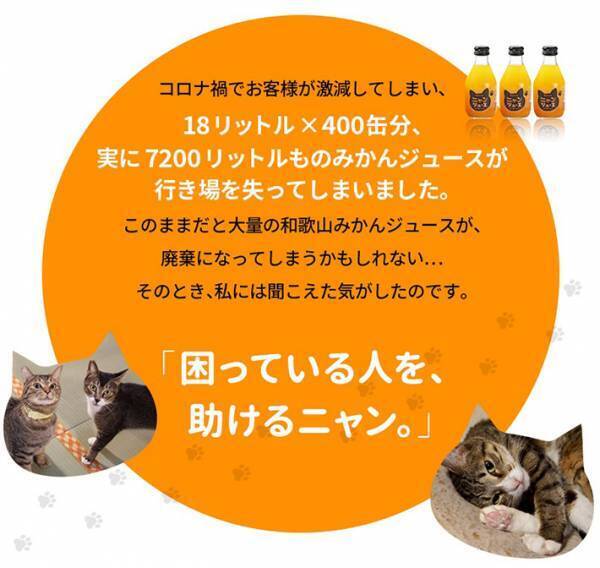 猫を飼っていなくても大丈夫！　猫とミカンを救う『にゃんジュース』