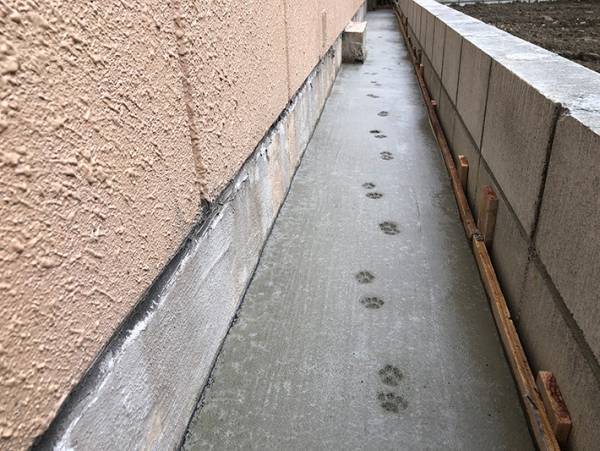 「にゃんでこうなっちゃうかなー」　完成間際に起きたかわいいトラブルとは