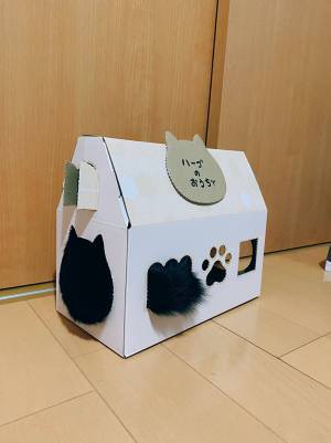 「なんだこのかわいい生き物は」「最高」　黒猫の４枚の写真に１２万人が悶絶！