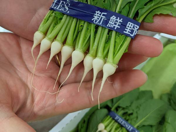 豊洲市場ドットコムが紹介した見慣れない珍しい野菜に反響！　これは一体何…？