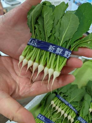 豊洲市場ドットコムが紹介した見慣れない珍しい野菜に反響！　これは一体何…？