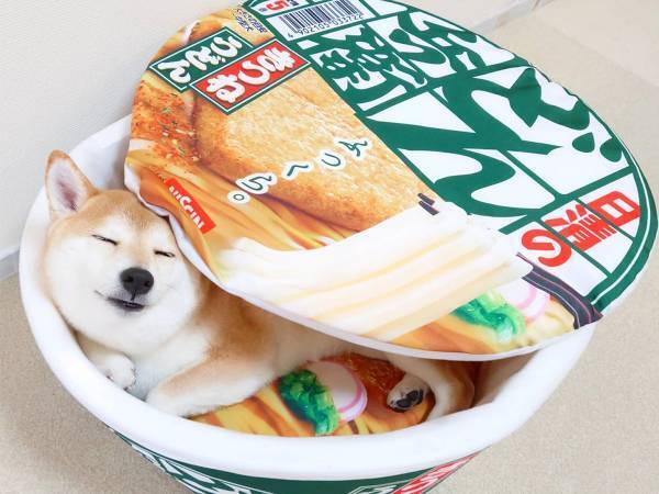 どん兵衛の中に入っていたのは…？　「表情がたまらない」の声が続出！