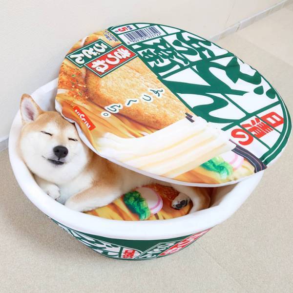 どん兵衛の中に入っていたのは…？　「表情がたまらない」の声が続出！