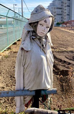 「夜に出会わなくてよかった」　昼でも怖い『衝撃カカシ』の姿がこちら