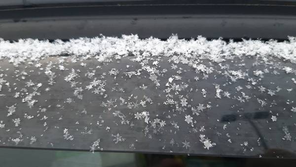 雪の結晶がそのまま降ってきた！　「芸術作品みたい」「感動した」と反響