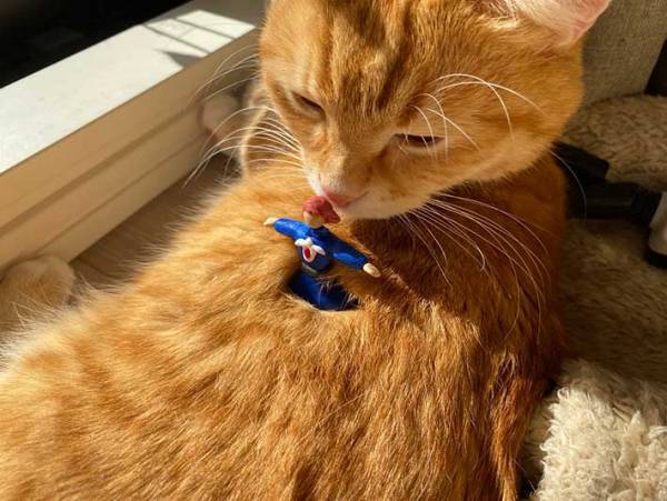 「センスの塊」「この発想はなかった」ナウシカの名場面を再現した２枚が話題に！