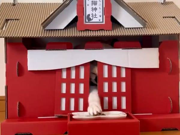 神社の前におやつを置くと、中から手が伸びてきて…？　登場した神様に反響