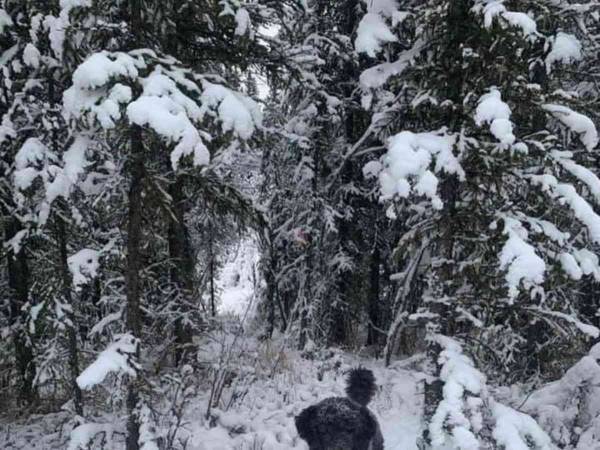 まったく違う２つのものが見える？　人々を混乱させた１枚の写真がコチラ