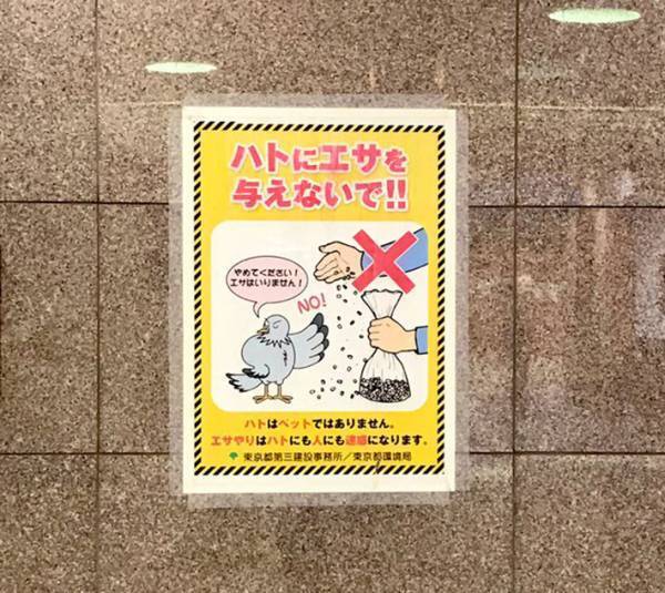 駅のポスターを見つめる鳩　書かれていた内容に「切ない」「哀愁が…」の声