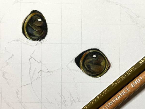 「本物にしか見えない」「ウソでしょ！？」　１５時間かけて生み出された猫がかわいすぎる