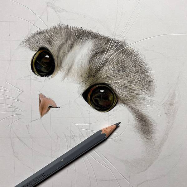 「本物にしか見えない」「ウソでしょ！？」　１５時間かけて生み出された猫がかわいすぎる