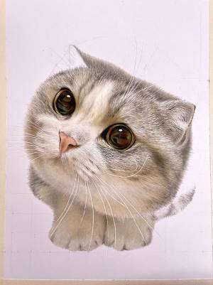 「本物にしか見えない」「ウソでしょ！？」　１５時間かけて生み出された猫がかわいすぎる