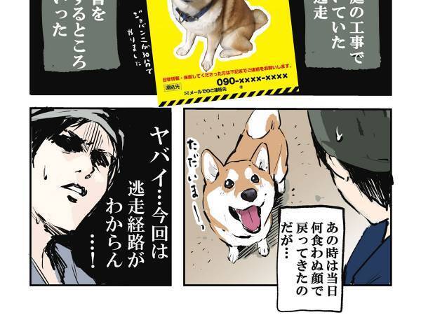 「まさか…脱走！？」　庭から消えた柴犬を飼い主が探すと…