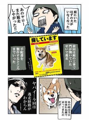「まさか…脱走！？」　庭から消えた柴犬を飼い主が探すと…