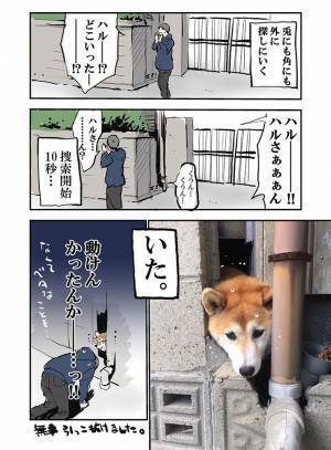 「まさか…脱走！？」　庭から消えた柴犬を飼い主が探すと…