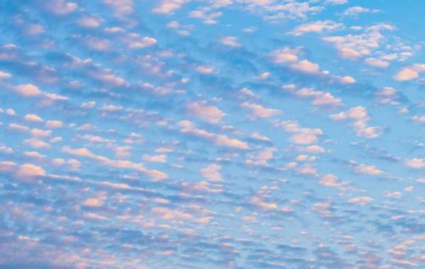 言葉は心の表れ　人の思考、心を和らげる助けになる『やまとことば』