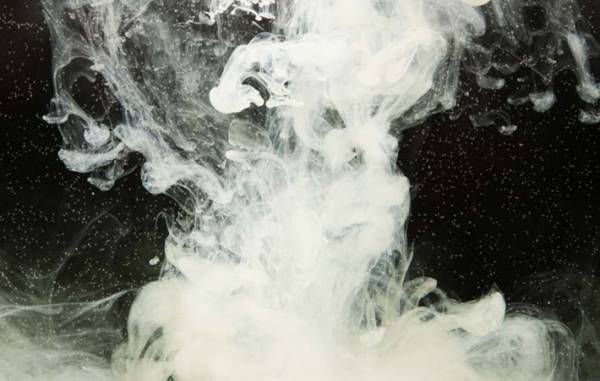 言葉は心の表れ　人の思考、心を和らげる助けになる『やまとことば』