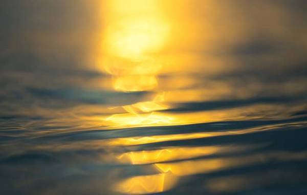 言葉は心の表れ　人の思考、心を和らげる助けになる『やまとことば』