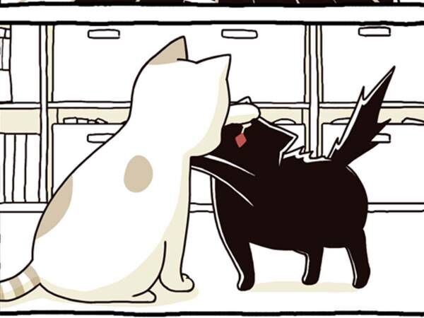 白猫から猫パンチ！　その後の黒猫が「かわいすぎる」「笑った」