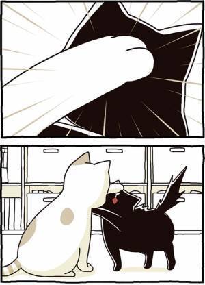 白猫から猫パンチ！　その後の黒猫が「かわいすぎる」「笑った」