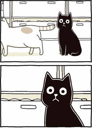 白猫から猫パンチ！　その後の黒猫が「かわいすぎる」「笑った」