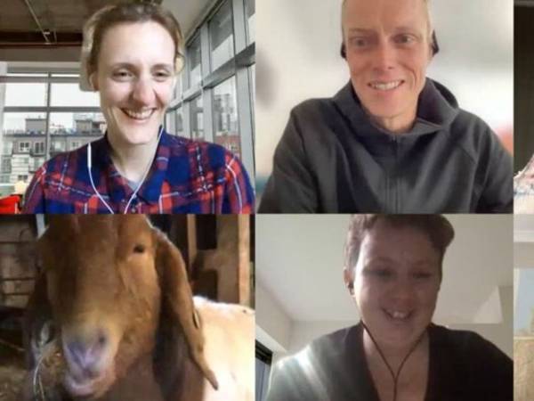 「Zoom会議にヤギ貸します」　経営難の農場が始めたサービスが大ヒット！