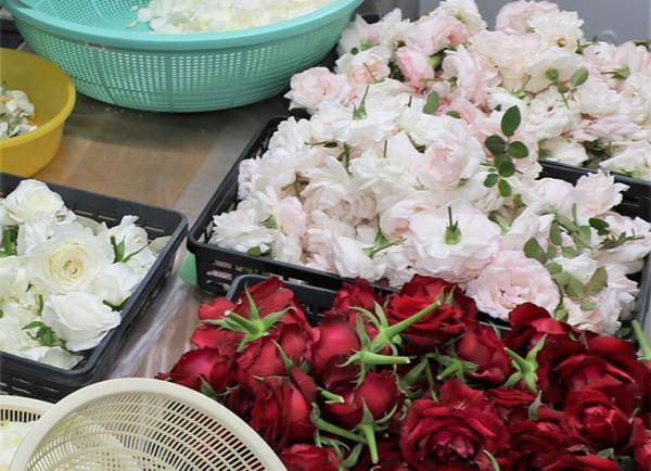 キャンセルで出荷先を失った『食用バラ』　農家が考えた活用法に「コレいいね！」「ほしい」の声