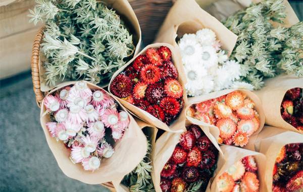 キャンセルで出荷先を失った『食用バラ』　農家が考えた活用法に「コレいいね！」「ほしい」の声