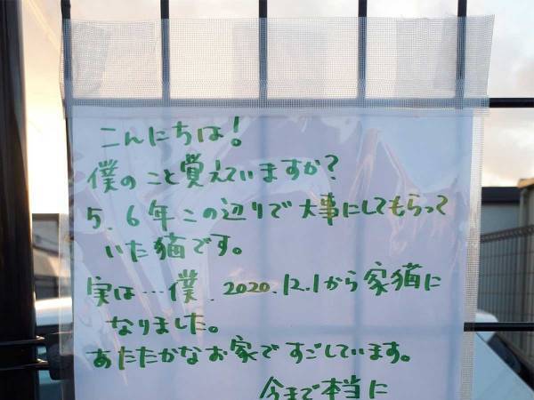 「僕、しあわせになったよ！」野良猫だった猫からの『メッセージ』に反響