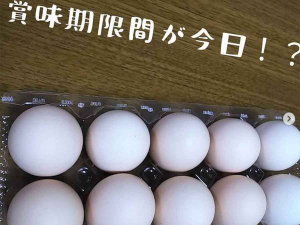 お弁当用の一品にも 卵の冷凍時短ライフハック