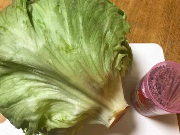レタスをすぐにダメにしてしまう方へ！たったこれだけ？新鮮に保てる方法