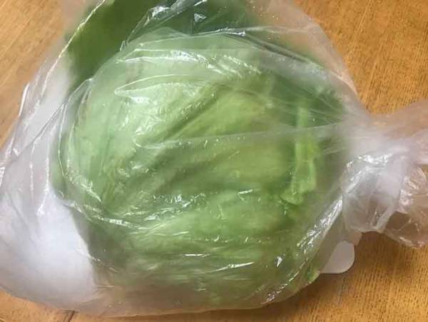 レタスをすぐにダメにしてしまう方へ！たったこれだけ？新鮮に保てる方法