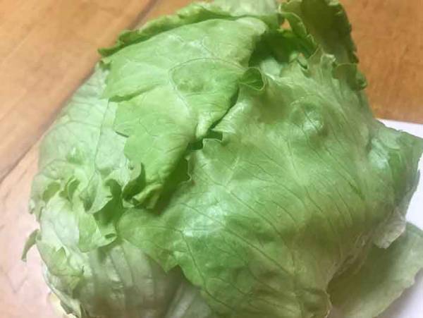 レタスをすぐにダメにしてしまう方へ！たったこれだけ？新鮮に保てる方法