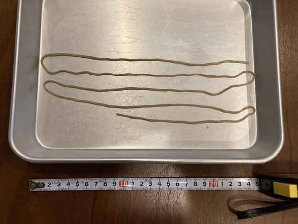 どん兵衛がまたやってくれた！長寿祈願そばの長い麺はどれだけ長いのか