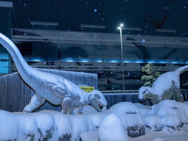 「寒波に襲われた福井駅が完全に氷河期」　写真を見たら、マジだった…