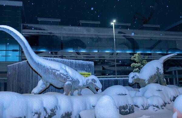 「寒波に襲われた福井駅が完全に氷河期」　写真を見たら、マジだった…