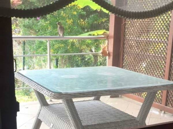 嘘でしょ…　ごはんを欲しがる野良猫の鳴き声かと思ったら？　「びっくり」