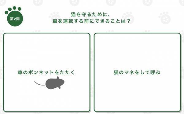 「猫の日には、猫を守ろう」　イエローハットのメッセージに胸が熱くなる