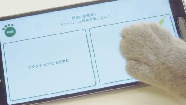 「猫の日には、猫を守ろう」　イエローハットのメッセージに胸が熱くなる