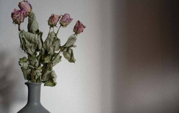 自分を眺める習慣を日常の中に根付かせると、ちょっと生きることが楽になる