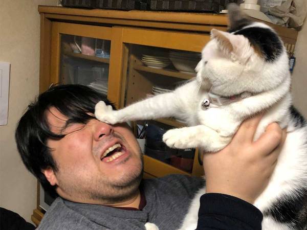 【全４枚】男性とのツーショットで見せた『猫たちの表情』に、爆笑！