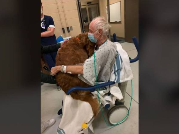 「会いたかったよぉ」　６週間ぶりに飼い主と再会した犬の姿にもらい泣き