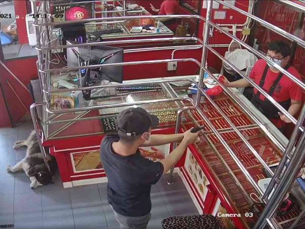 宝石店に強盗が入った！　すると店の『番犬』が？　「賢い」「爆笑した」