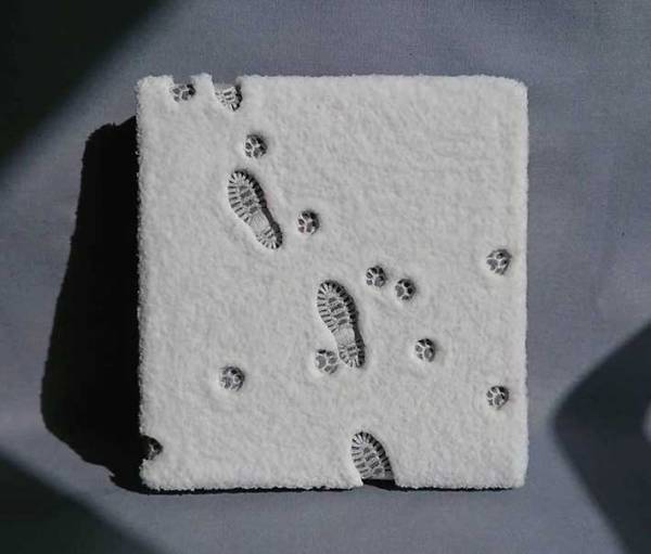 「すごい」「あっという間に癒された」　雪の上についた足跡に、感動の声