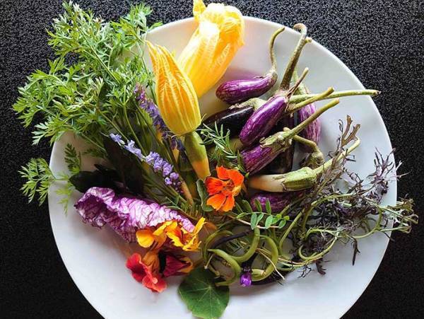 長野の伊那谷で採れた野菜が…？　『あの絶品料理』に大変身！